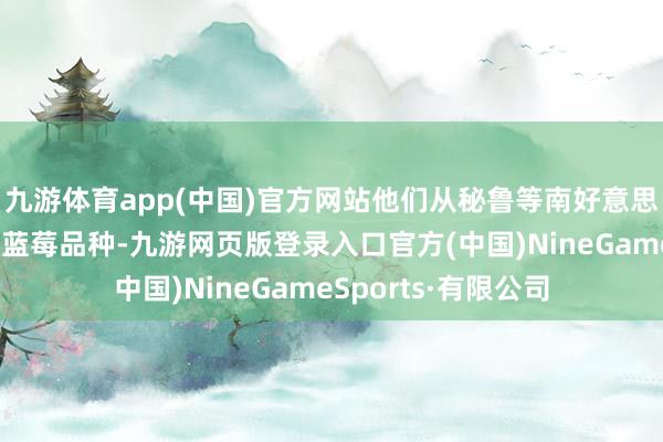 九游體育app(中國)官方網站他們從秘魯等南好意思國度引進一些新的藍莓品種-九游網頁版登錄入口官方(中國)NineGameSports·有限公司