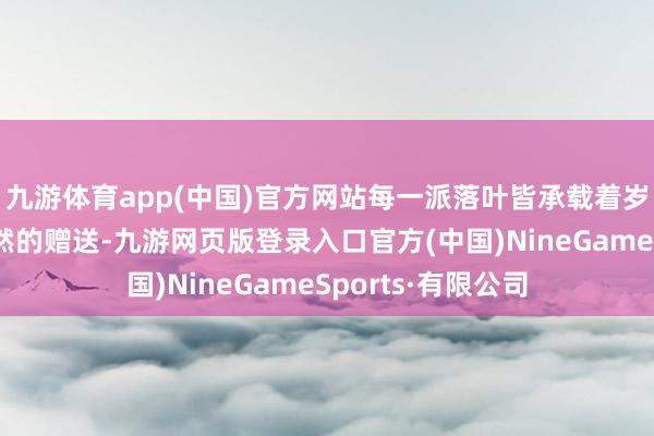 九游體育app(中國)官方網站每一派落葉皆承載著歲月的千里淀與當然的贈送-九游網頁版登錄入口官方(中國)NineGameSports·有限公司